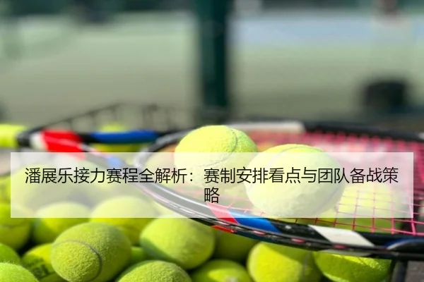 潘展乐接力赛程全解析：赛制安排看点与团队备战策略
