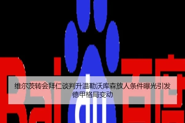 维尔茨转会拜仁谈判升温勒沃库森放人条件曝光引发德甲格局变动